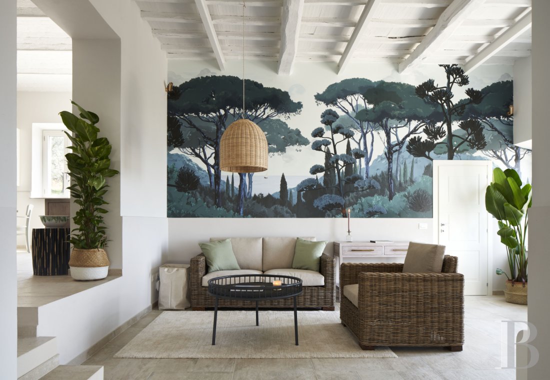 A 19th-century farmhouse surrounded by olive trees in Tuscany, north of Vinci, not far from Florence - photo  n°12